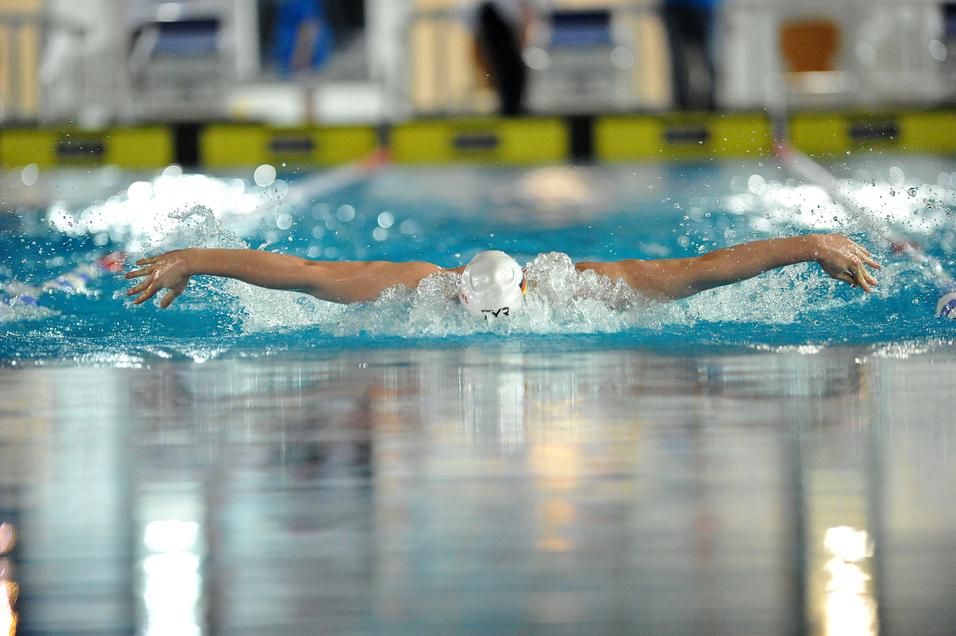 Schwimmer führt einen Butterfly-Zug im Wasser aus, Hände und Kopf über der Wasseroberfläche.